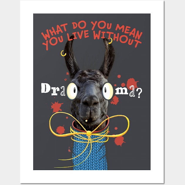 What Do You Mean You Live Without Drama?! Drama Queen Llama with big eyes and blue sweater Wall Art by Twocatsandpossum